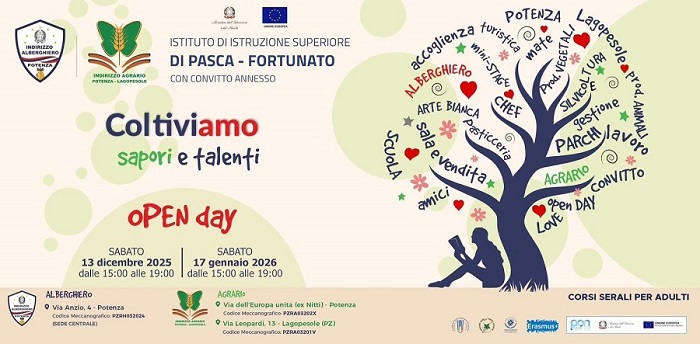 immagine foto panoramica edificio scolastico