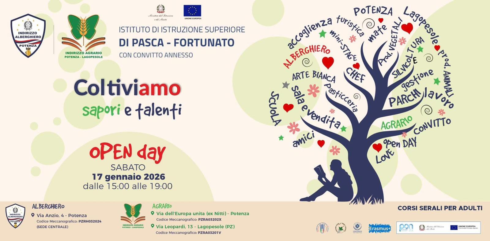 immagine foto panoramica edificio scolastico